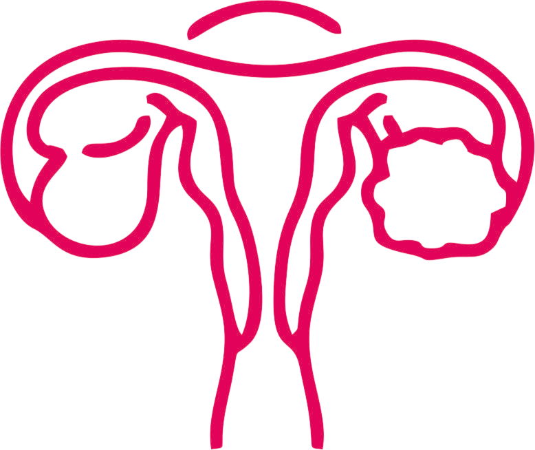 Ovulation Induction Icon